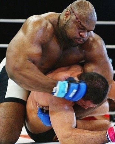 Bob Sapp 